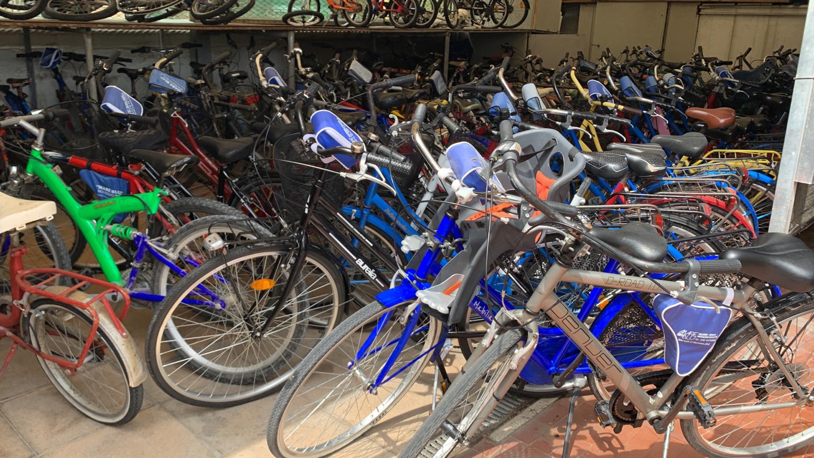 Mare blu bike Conero - Noleggio, vendita e assistenza bici, ebike e pedalata assistita 1