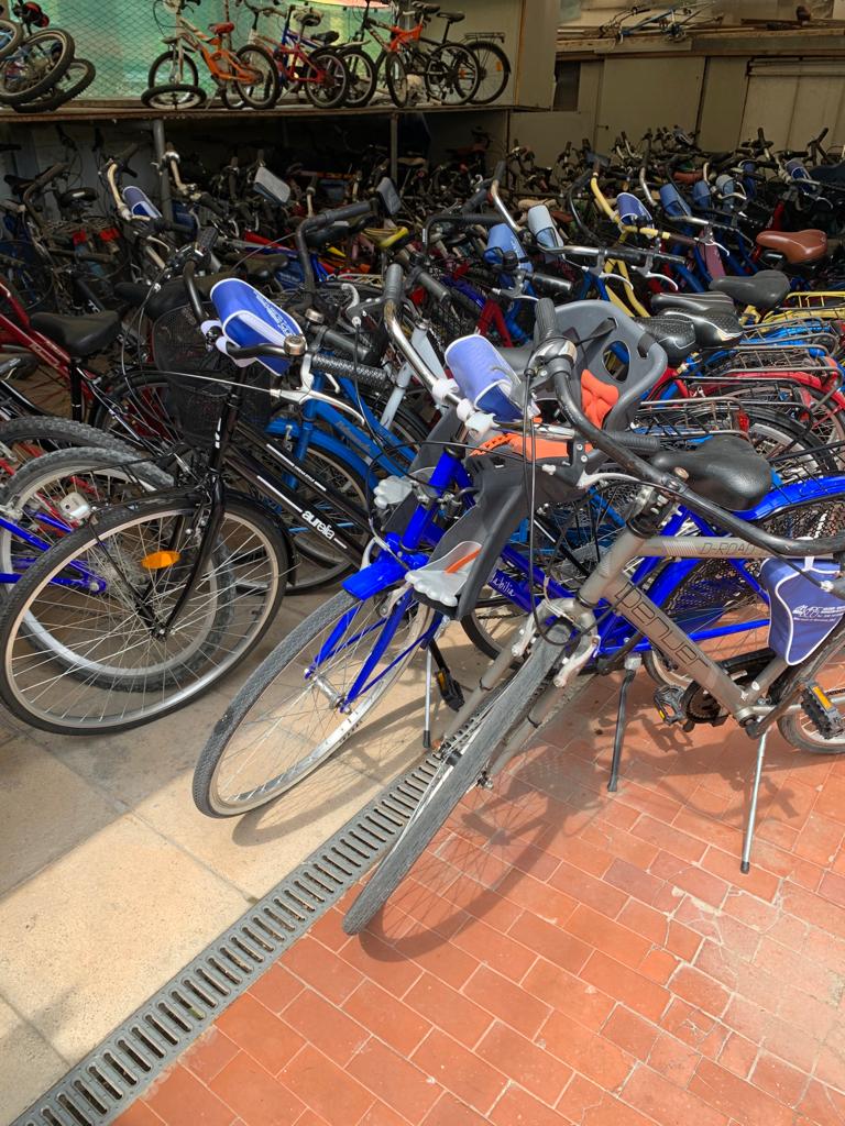 Mare blu bike Conero - Noleggio, vendita e assistenza bici, ebike e pedalata assistita 2