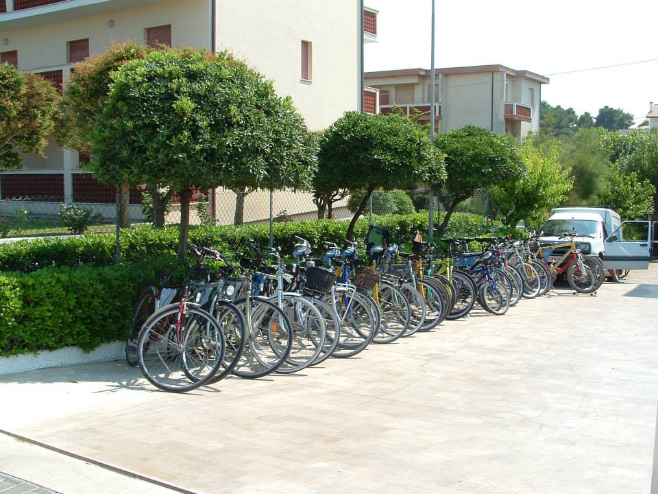 Mare blu bike Conero - Noleggio, vendita e assistenza bici, ebike e pedalata assistita 7